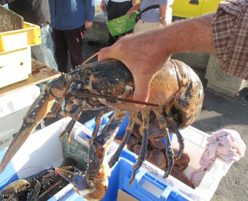 recette de homard