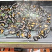 Plancha de moules