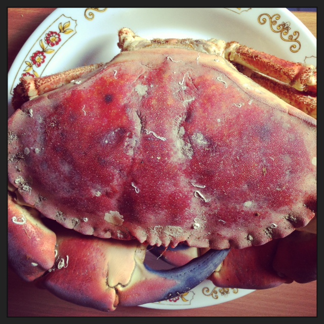 Cuisson Dormeur comment cuire un crabe tourteau ou dormeur Cuisson Dormeur comment cuire un crabe tourteau ou dormeur