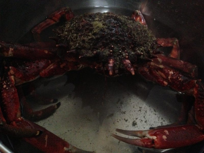 comment cuire des crabes