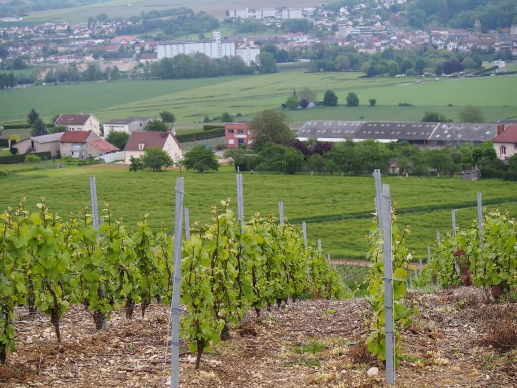 le vignoble leclerc mondes