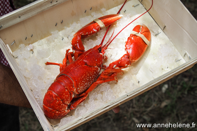 homard cuit au court bouillon