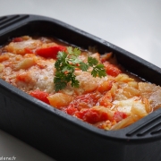 Fenouil en gratin sauce tomate